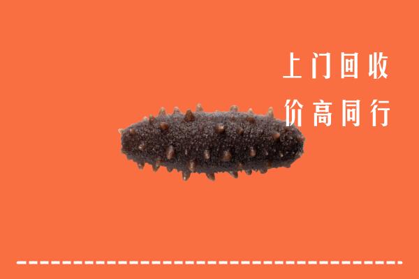 黄冈市英山回收海参