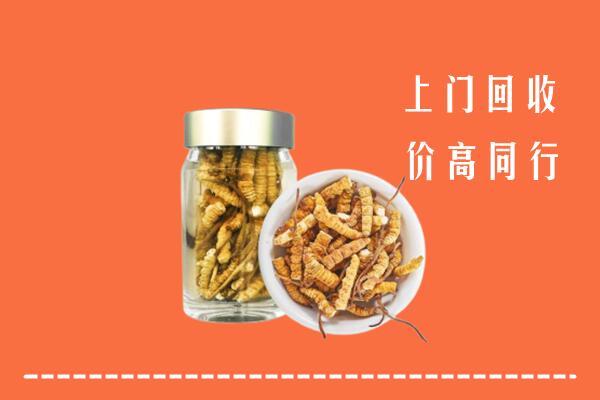 黄冈市英山回收冬虫夏草